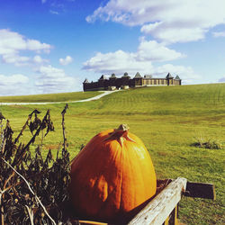 View of pumpkins on field against sky