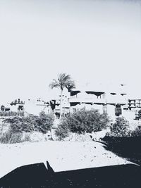 Flock of birds flying by swimming pool against sky