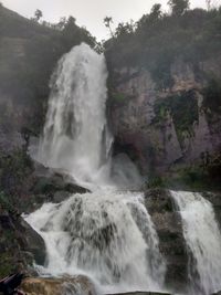 Scenic view of waterfall in forest
