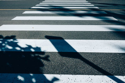 Zebra crossing with shadow during sunny day