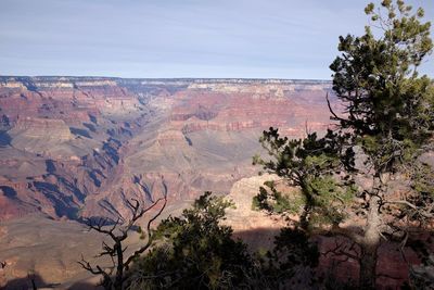 Scenic view of landscape