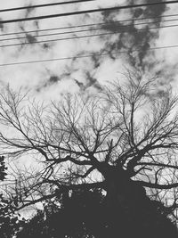 Low angle view of bare tree against cloudy sky