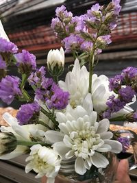 Close-up of white flowering plant