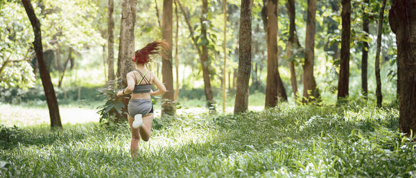 Rear view of man walking in forest