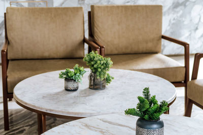 Close-up of potted plant on table