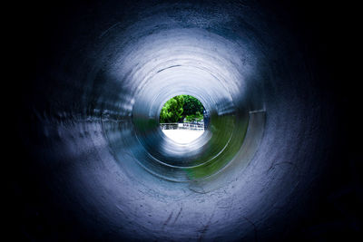 Trees in tunnel