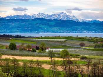 Scenic view of field by mountains against sky