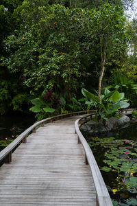 Rear view of man walking on footbridge