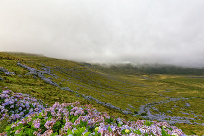 Scenic view of mountains against sky during foggy weather