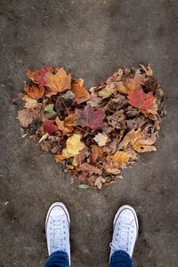 Low section of person standing on autumn leaves