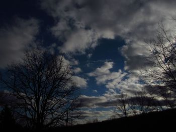 Low angle view of silhouette trees against sky