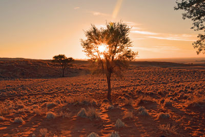 Scenic view of landscape against sky during sunset