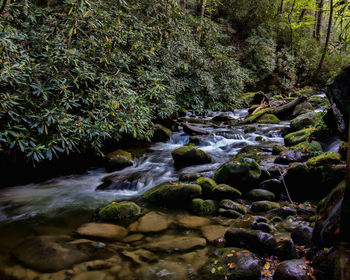 Stream flowing through rocks in forest