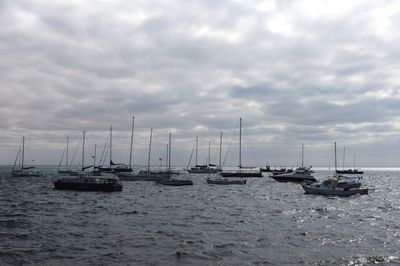 Sailboats moored in marina