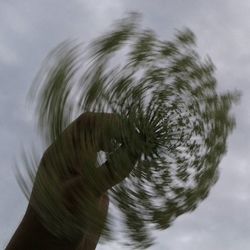 Close-up of plant against the sky