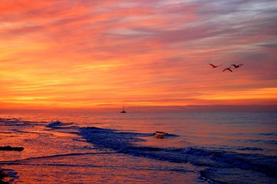 Silhouette birds flying over sea against orange sky