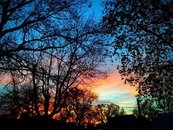 Low angle view of silhouette trees against sky