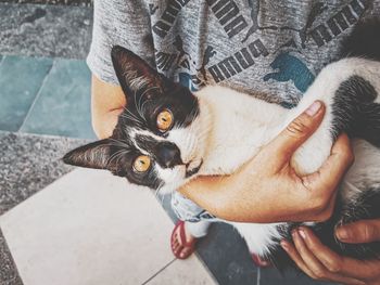 High angle view portrait of hand holding cat