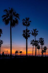 Silhouette palm trees on beach against sky at sunset