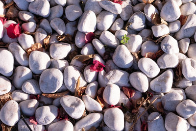 High angle view of stones
