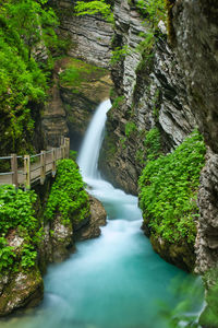 Scenic view of waterfall in forest