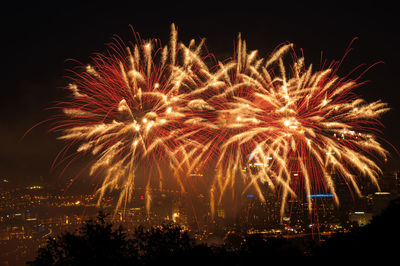 Firework display at night