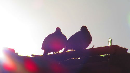 Silhouette of birds perching on clear sky