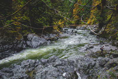 Stream flowing through rocks in forest