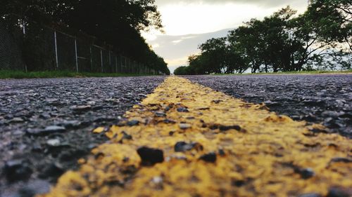 Surface level of railroad tracks