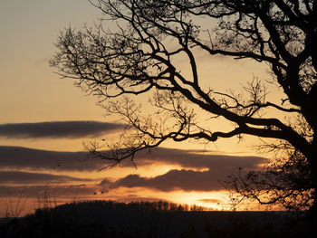 Silhouette bare tree against sky during sunset