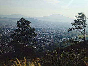 Scenic view of tree mountains against sky