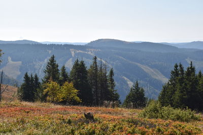 Scenic view of landscape against sky during autumn