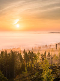 Scenic view of landscape against sky during sunset