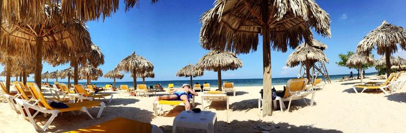 Palm trees on beach