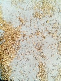 Full frame shot of pattern