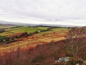 Scenic view of landscape against sky