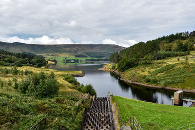 Scenic view of river amidst trees against sky