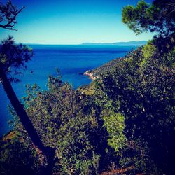 Scenic view of sea against clear sky