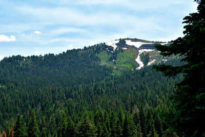 Scenic view of green landscape and mountains against sky