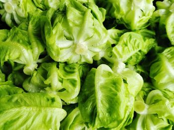 Full frame shot of vegetables