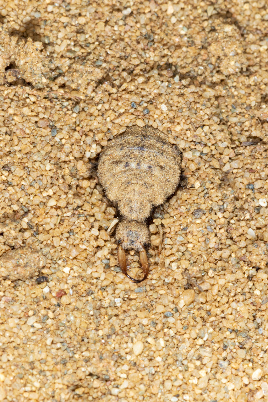 HIGH ANGLE VIEW OF WATER ON SAND