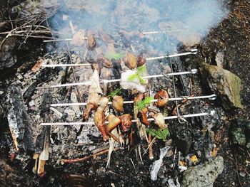 High angle view of crab on barbecue