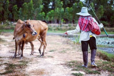 Woman standing with cow