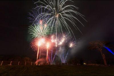 Low angle view of firework display at night