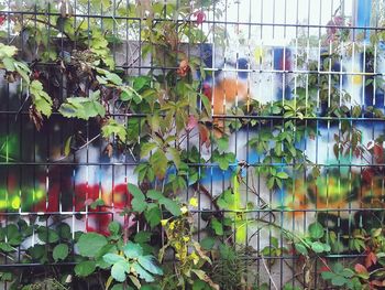 Full frame shot of chainlink fence