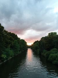 Scenic view of trees against sky