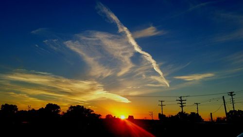 Silhouette of trees at sunset