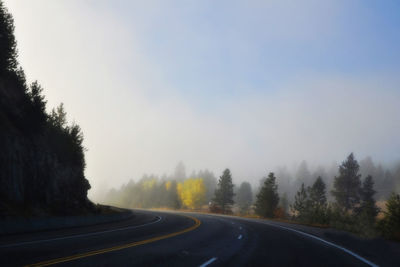 Road amidst trees against clear sky