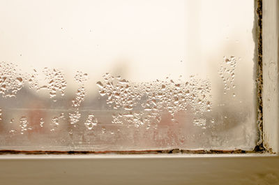 Close-up of wet glass window