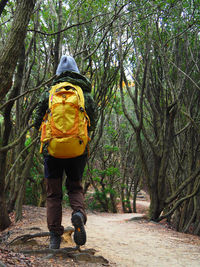 Rear view of man walking in forest